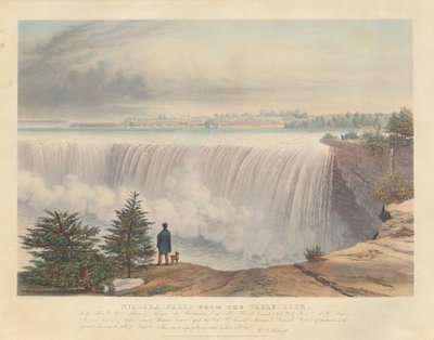 Cataratas del Niágara desde Table Rock de William James Bennett