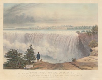 Las cataratas del Niágara desde Table Rock de William James Bennett