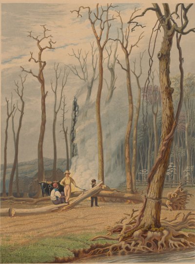 Primavera--Quemando árboles caídos en un claro talado. Escena occidental de William James Bennett