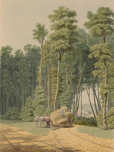 Verano--Un accidente en la carretera. Una vista a través de una apertura del bosque primitivo de William James Bennett