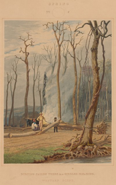 Primavera: Quemando Árboles Caídos en un Claro Despejado. Escena Occidental de William James Bennett after George Harvey