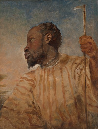 Un africano esclavizado de William James Muller