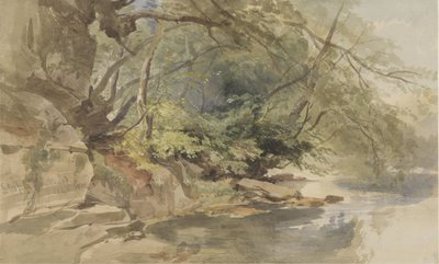 Vista en Stapleton Wood, cerca de Bristol de William James Muller