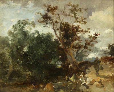 Estudio de árboles, c.1840 de William James Muller