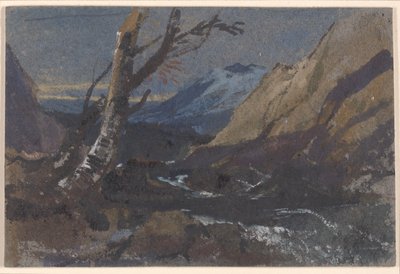 Estudio de árboles junto a un arroyo de montaña de William James Muller