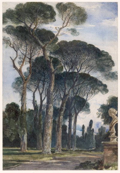 Pinos piñoneros en la Villa Borghese, Roma de William James Muller