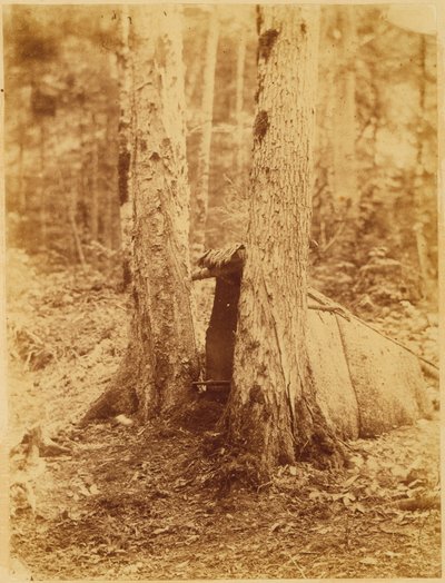 Sin título, de la carpeta The Forest: Bosques de Adirondack de William James Stillman