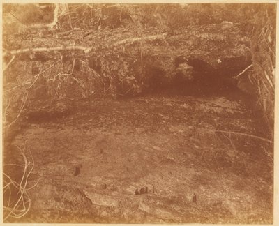 Sin título, de la carpeta The Forest: Bosques de Adirondack de William James Stillman