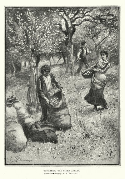 Recogida de las manzanas de sidra (litografía) de William John Hennessy