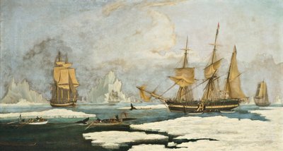 La pesca de ballenas en el norte: El barco Harmony de Hull y otros balleneros atrapados en el hielo, cazando focas, narvales y ballenas en el área de caza de ballenas de los estrechos de Davis frente a Groenlandia de William John Huggins