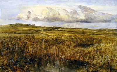Rhoscolyn, Anglesey de William Joseph J.C. Bond