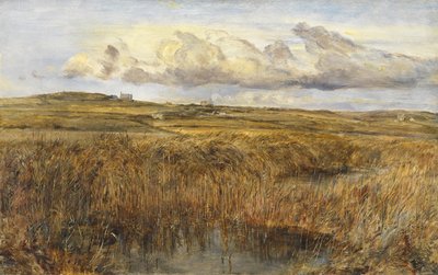 Rhoscolyn, Anglesey de William Joseph J.C. Bond