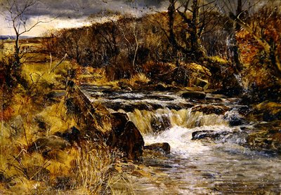 Arroyo de truchas en Gales de William Joseph J.C. Bond