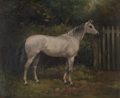 Pickles: un poni de Basuto, c.1904 (óleo sobre lienzo) de William Josiah Redworth
