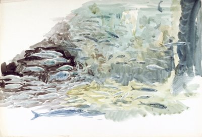 Vista submarina de un banco de peces de William Lionel Wyllie