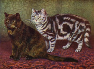 El gato de carey y el atigrado (litografia en color) de William Luker