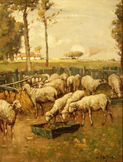 El redil de William McBride