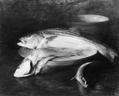 Peces, c. 1910 de William Merritt Chase
