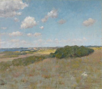 Luz solar y sombra, Shinnecock Hills de William Merritt Chase