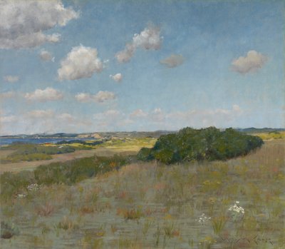 Luz del sol y sombra, Shinnecock Hills de William Merritt Chase