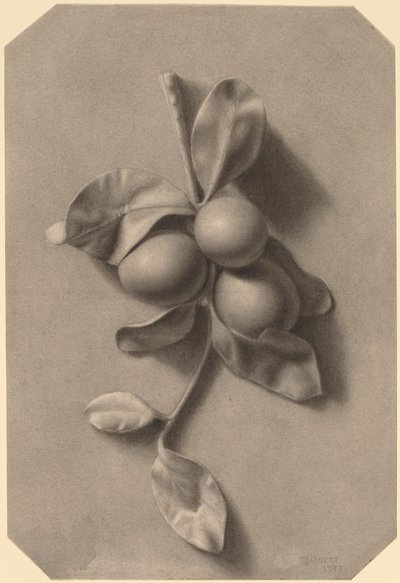Una ramita de ciruelas de William Michael Harnett