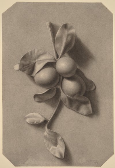 Una ramita de ciruelas de William Michael Harnett