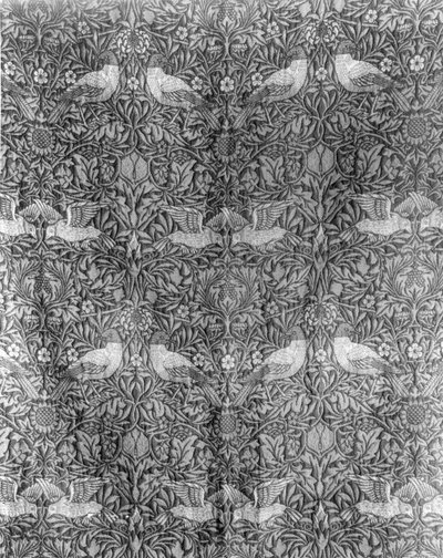 Diseño 