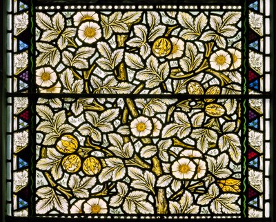 Rosas Silvestres y Avellanas de William Morris