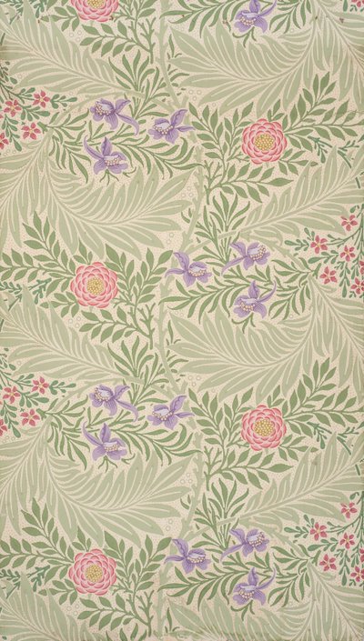 Espuela de caballero de William Morris
