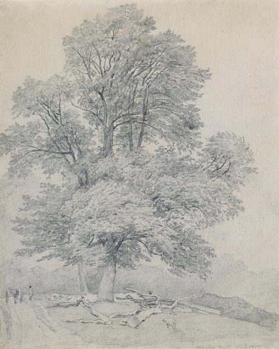 de William Mulready