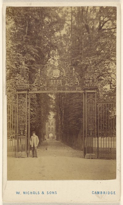 Avenida Trinity Cole de William Nichols and Sons