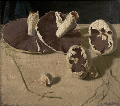 Setas de William Nicholson