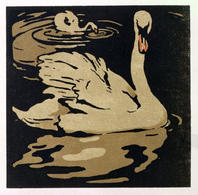El hermoso cisne, ilustración de "The Square Book of Animals", publicado por William Heinemann de William Nicholson