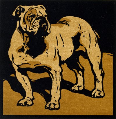 El Bull-Dog británico, de "The Square Book of Animals", publicado por William Heinemann de William Nicholson