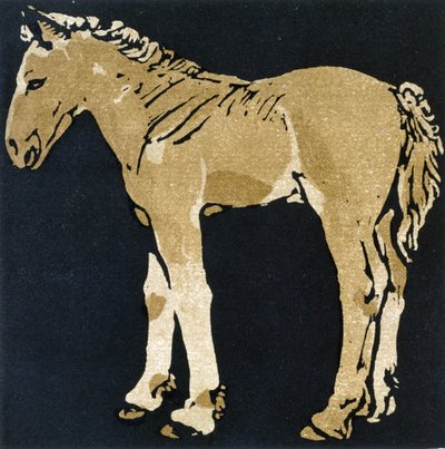 El potro en crecimiento, de "The Square Book of Animals", publicado por William Heinemann de William Nicholson