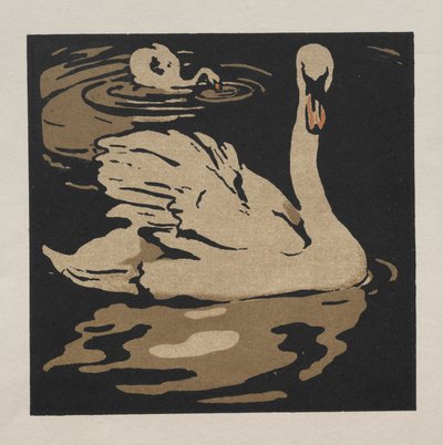 El libro cuadrado de los animales: El hermoso cisne de William Nicholson