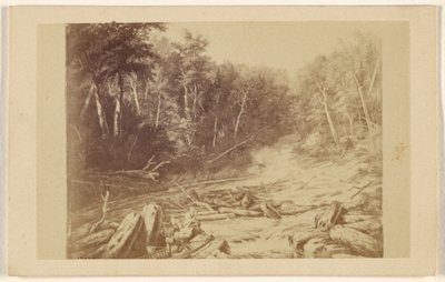 [Copia de un cuadro que representa una escena fluvial con un hombre pescando en canoa]. de William Notman