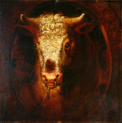 La cabeza del toro de William Overend Geller