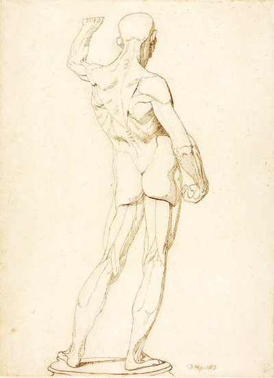 (Un Ecorche, vista trasera) de William Page