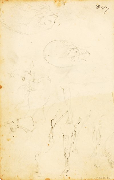 (Estudios--figuras, tronco, caballo y jinete, etc.) de William Page