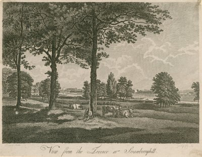 Vista desde la terraza de Strawberry Hill, Londres de William Pars