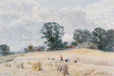 La cosecha de William Paton Burton