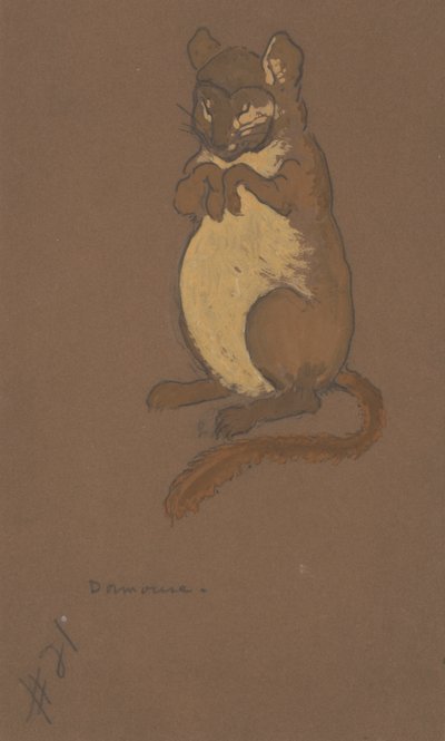 Diseño de vestuario de lirón para Alicia en el País de las Maravillas de William Penhallow Henderson