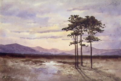 Atardecer, Condado de Sligo de William Percy French