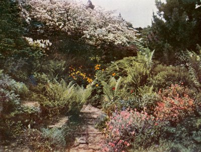  de William Ransford