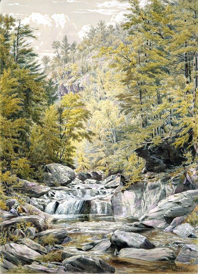 Catskill Clove de William Rickarby Miller