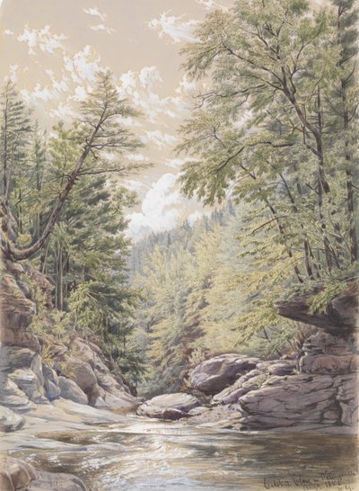 Catskill Clove en Palingsville de William Rickarby Miller