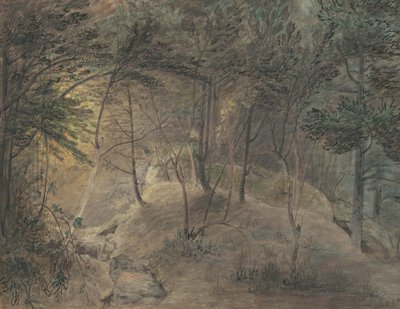 La Vista desde la Casa de Primavera en Echo, c.1808 de William Russell Birch
