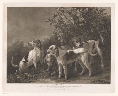 cuatro perros de caza Harriers (título sobre el objeto) de William Satchwell Leney