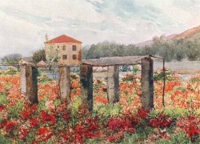  de William Scott